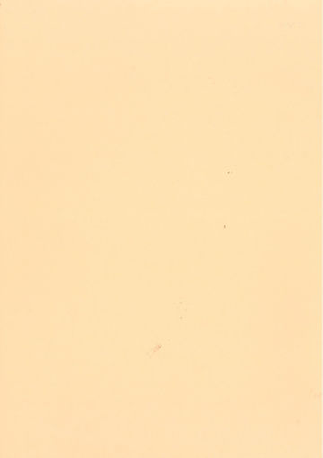 Picture of A2 KARTONCIN - PEACH 240GSM